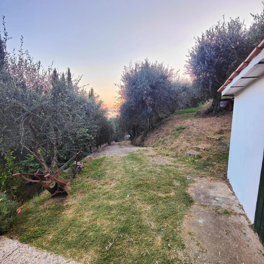Massaciuccoli Romana Екстериор снимка