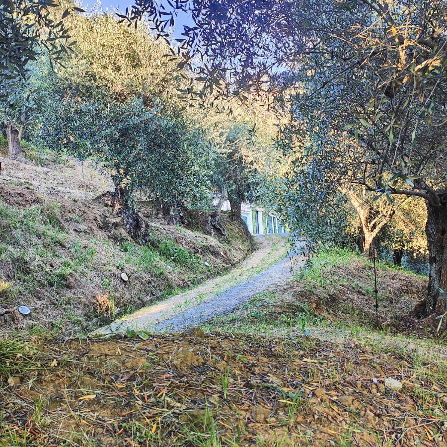 Massaciuccoli Romana Екстериор снимка