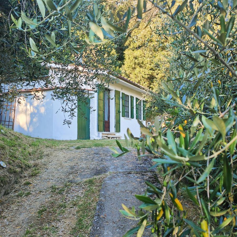 Massaciuccoli Romana Екстериор снимка