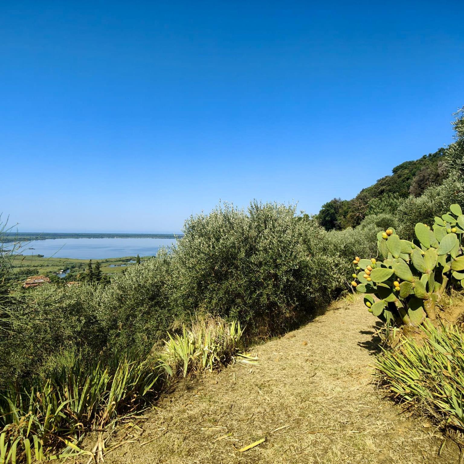 Massaciuccoli Romana Екстериор снимка