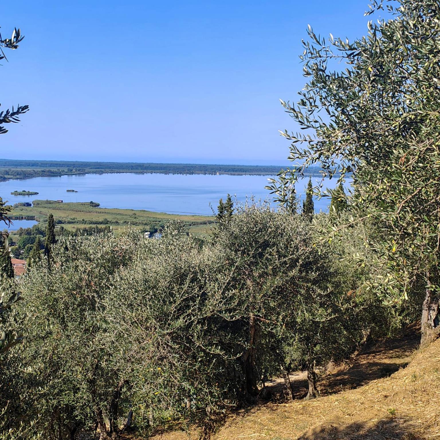 Massaciuccoli Romana Екстериор снимка